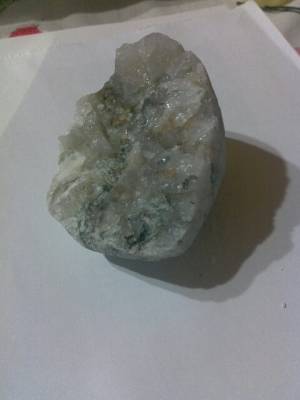 foto1.jpg