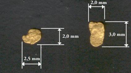 oro ticino1.jpg
